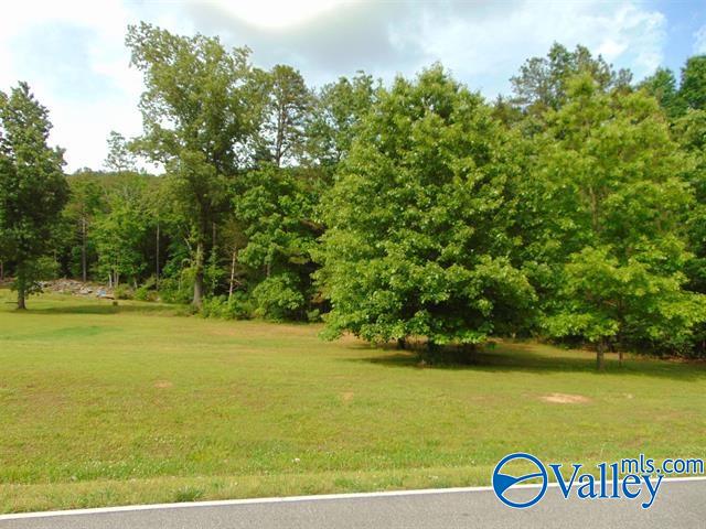 2412 Cherry Tree Road, Gurley, Alabama image 41