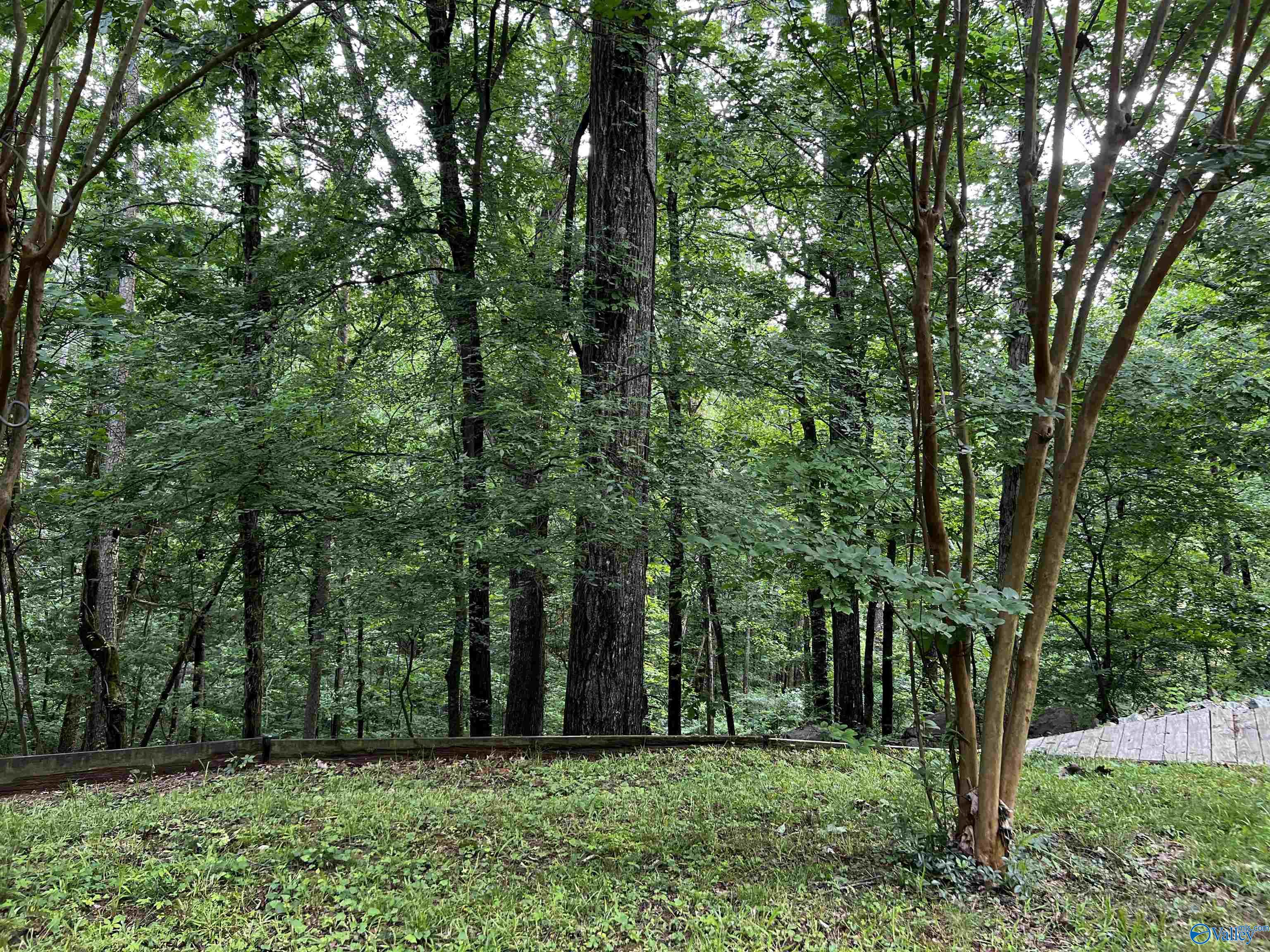 1727 SW Chestnut Mountain Road, Decatur, Alabama image 6