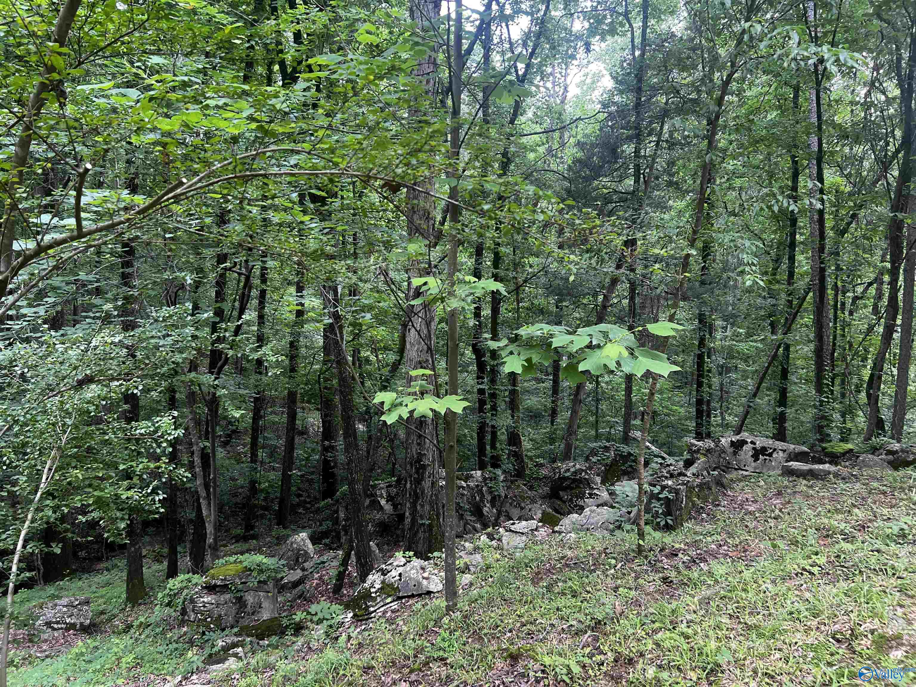 1727 SW Chestnut Mountain Road, Decatur, Alabama image 5