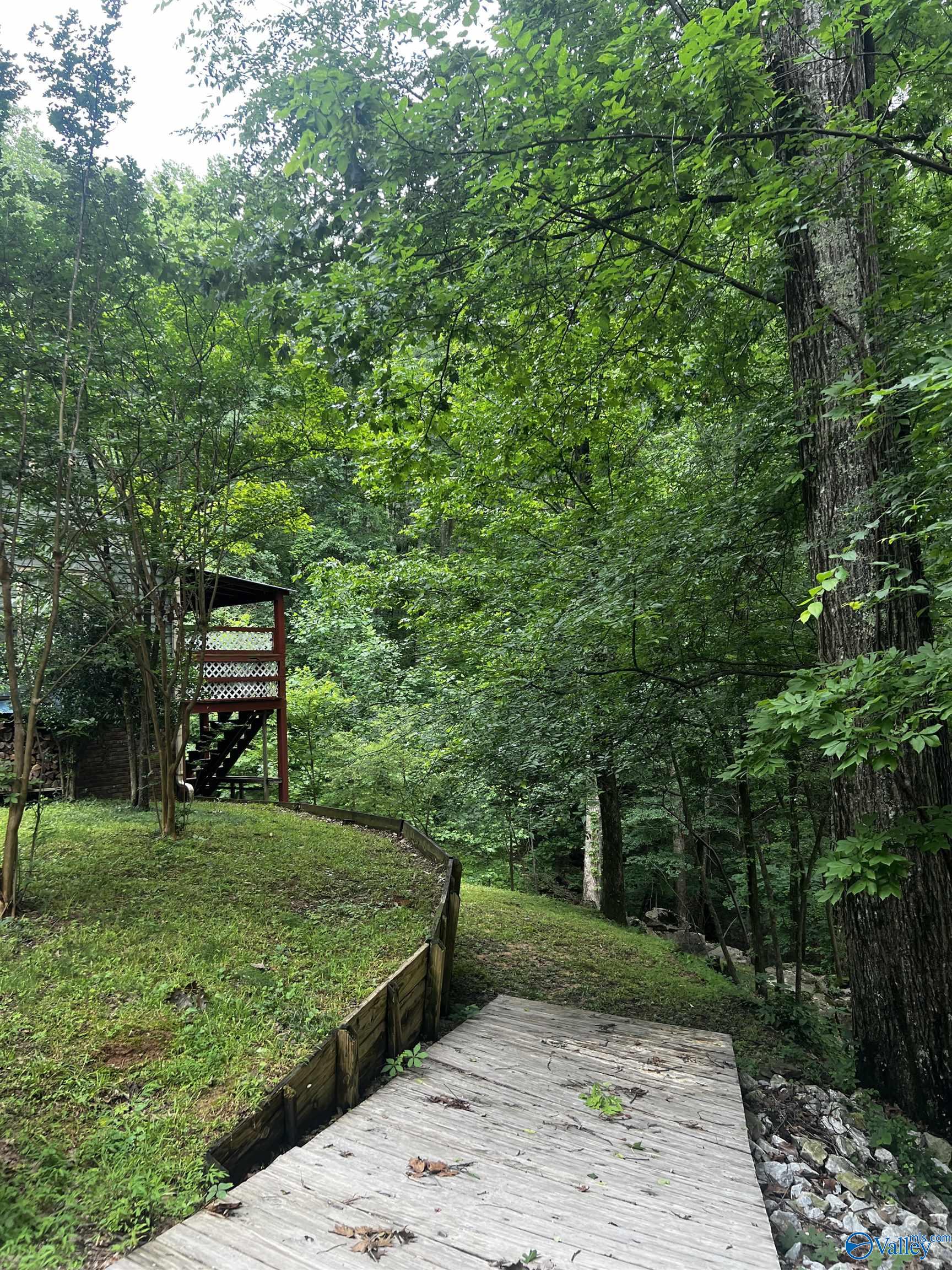 1727 SW Chestnut Mountain Road, Decatur, Alabama image 3