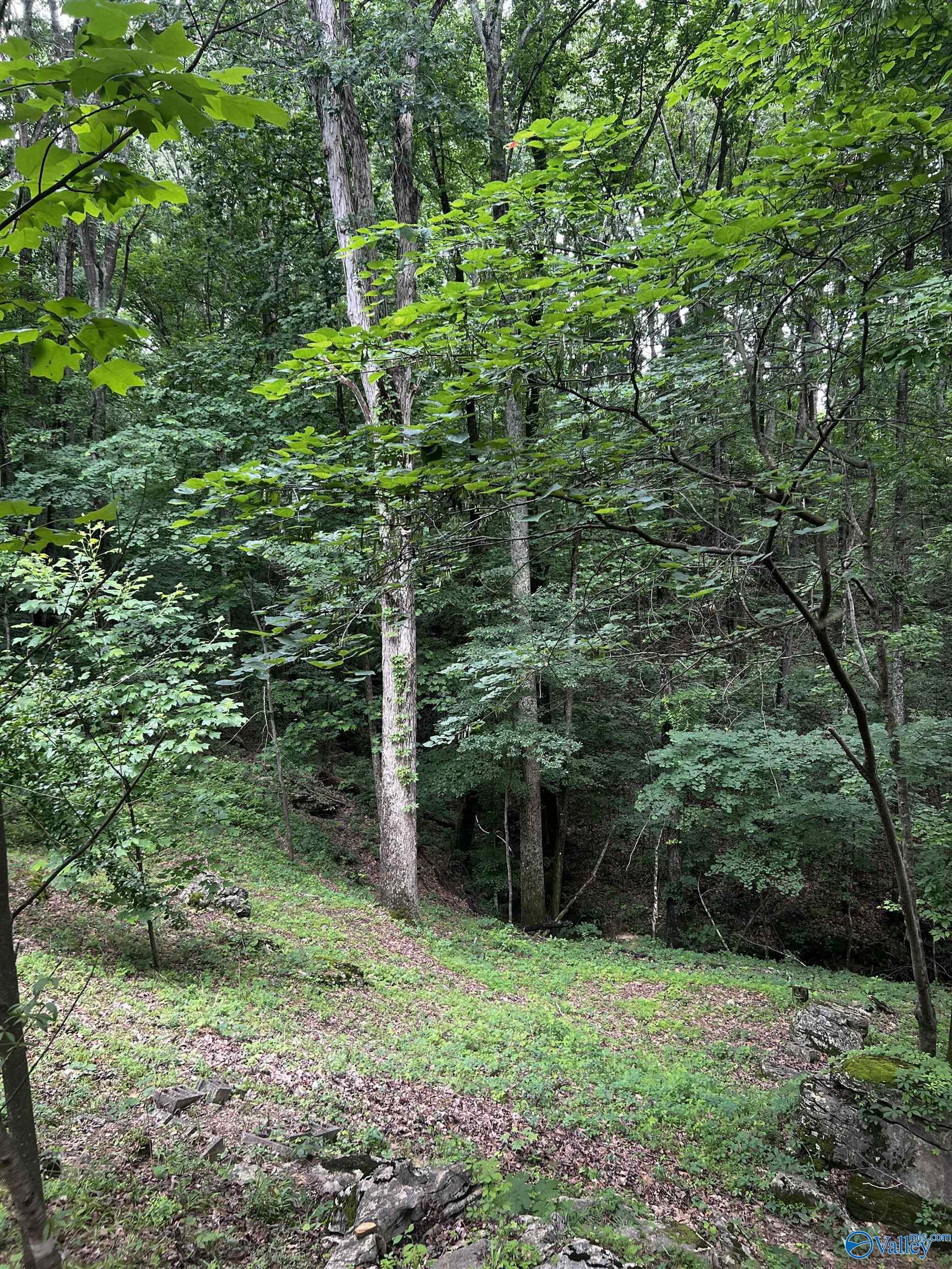 1727 SW Chestnut Mountain Road, Decatur, Alabama image 31