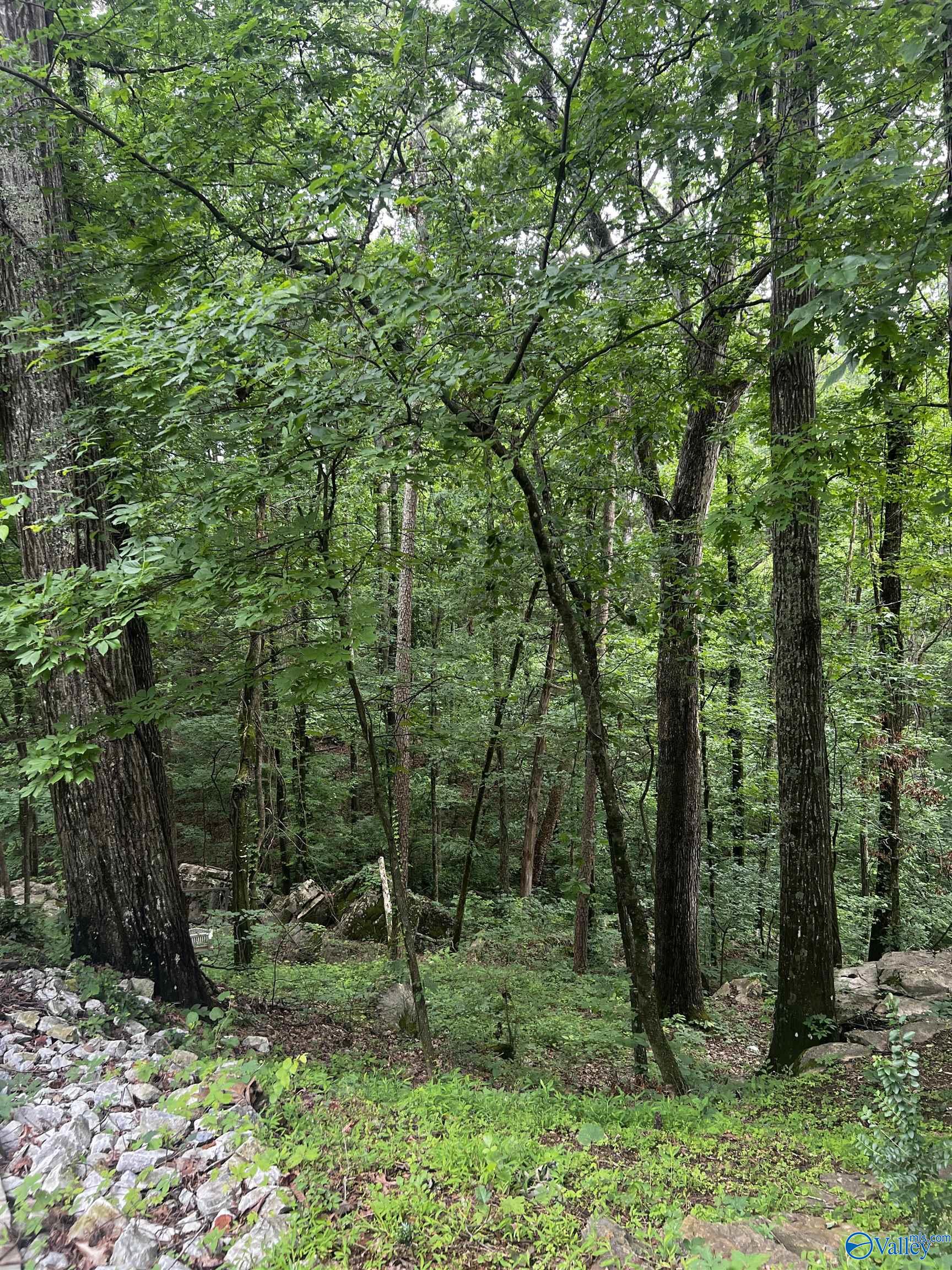 1727 SW Chestnut Mountain Road, Decatur, Alabama image 33