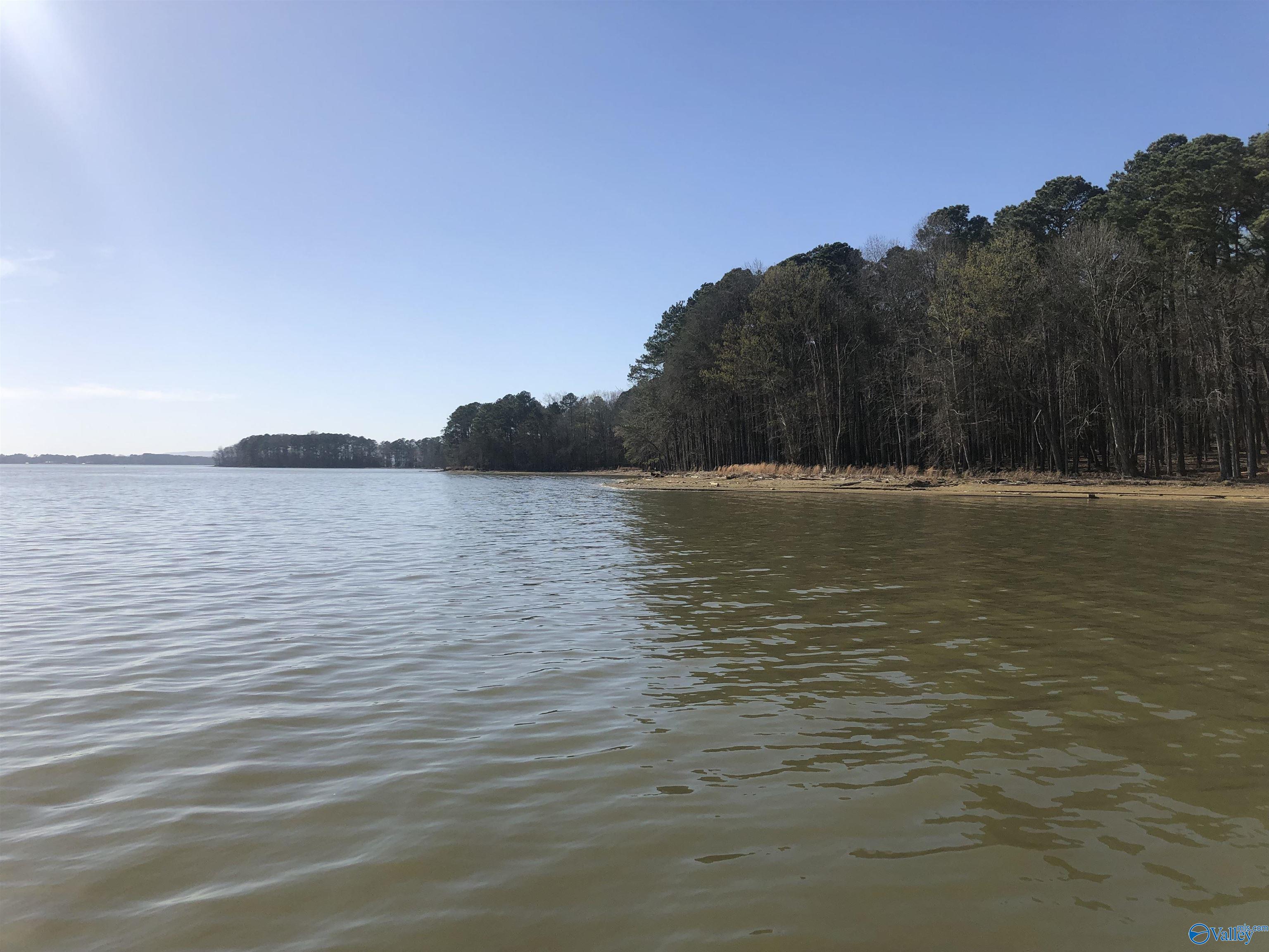 Lot 8 Little River Landing, Cedar Bluff, Alabama image 4