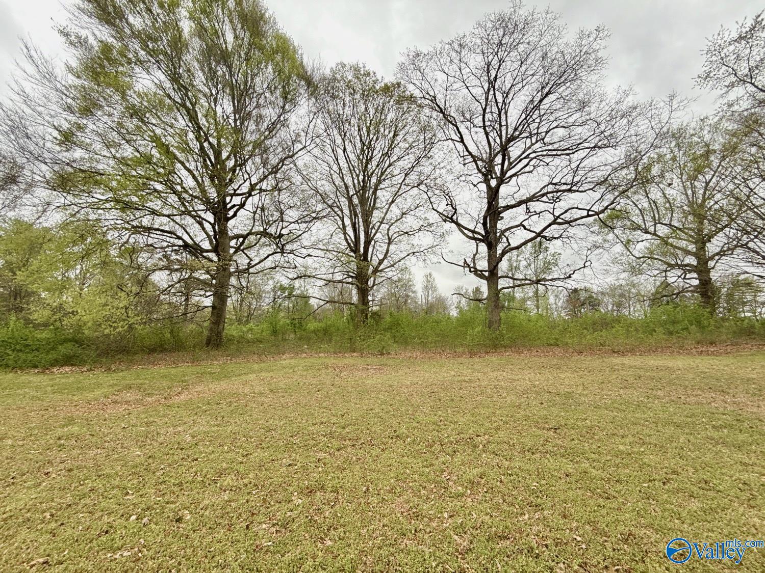 909 Walt Campbell Road #TRACT 2, Hazel Green, Alabama image 2
