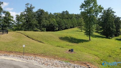 Vacant Land For Sale - LOT 71 County Road 767<br/> Cherokee County, Cedar Bluff, AL 35959