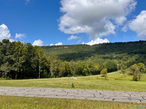 Vacant Land For Sale - 32 ACRES Gallant Road<br/> Saint Clair County, Gallant, AL 35972