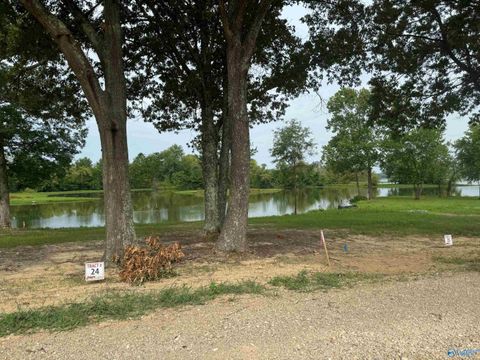 Vacant Land For Sale - 55 County Road 115<br/> Cedar Bluff, AL 35959