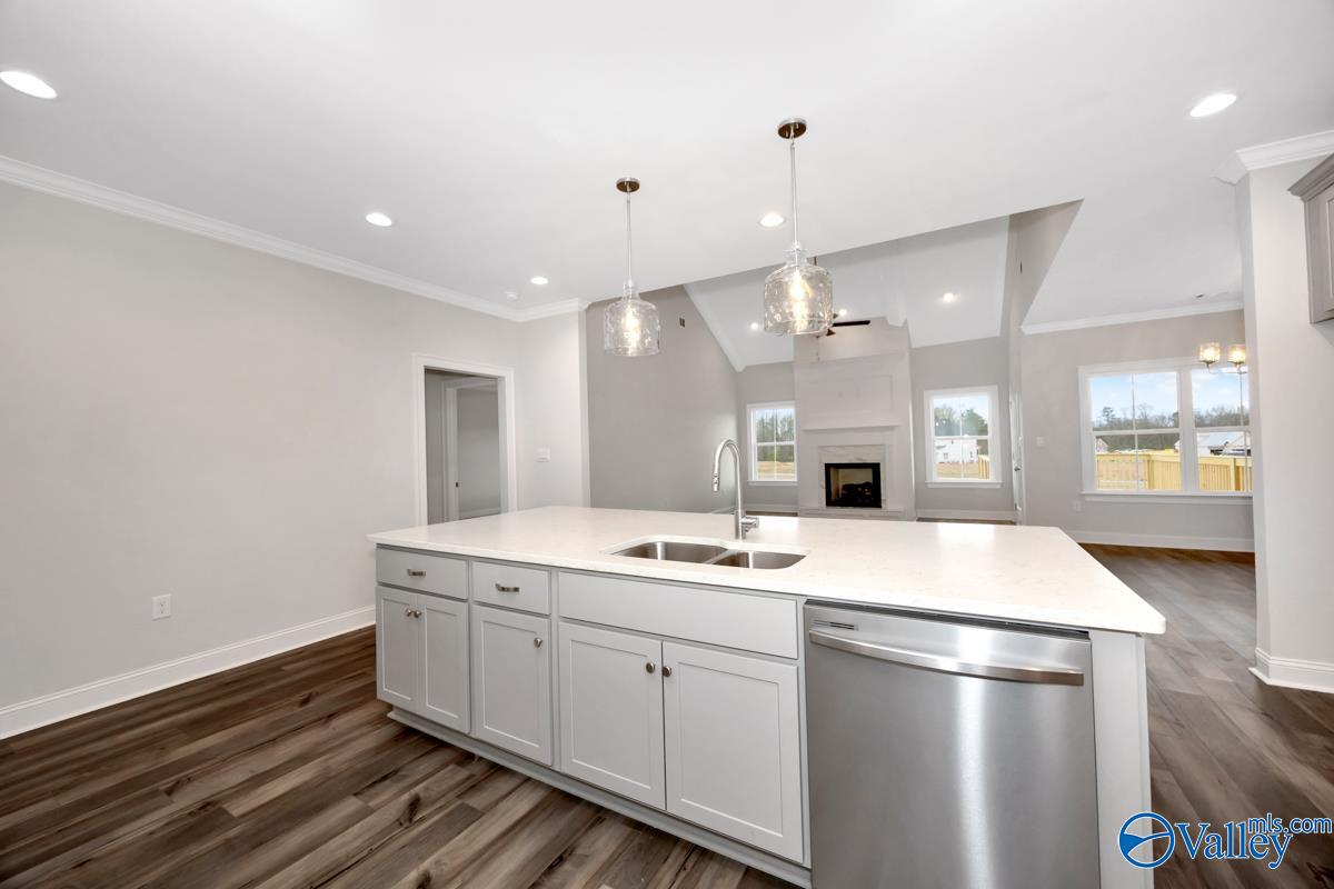 16646 Hamilton Place, Athens, Alabama image 19