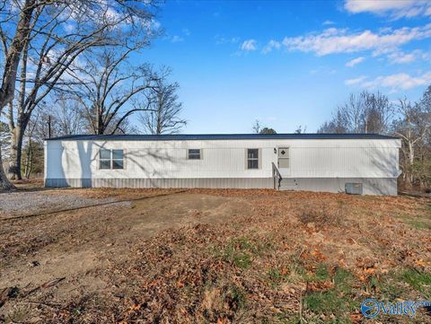 161 County Road 788 Ider AL 35981