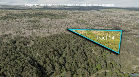 Vacant Land For Sale - 7.8 ACRES Road 9002<br/> Mentone, AL 35984