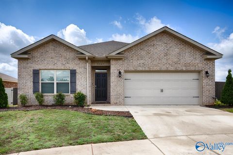 Homes For Sale - 7009 Lost Creek Drive<br/> Madison, AL 35806