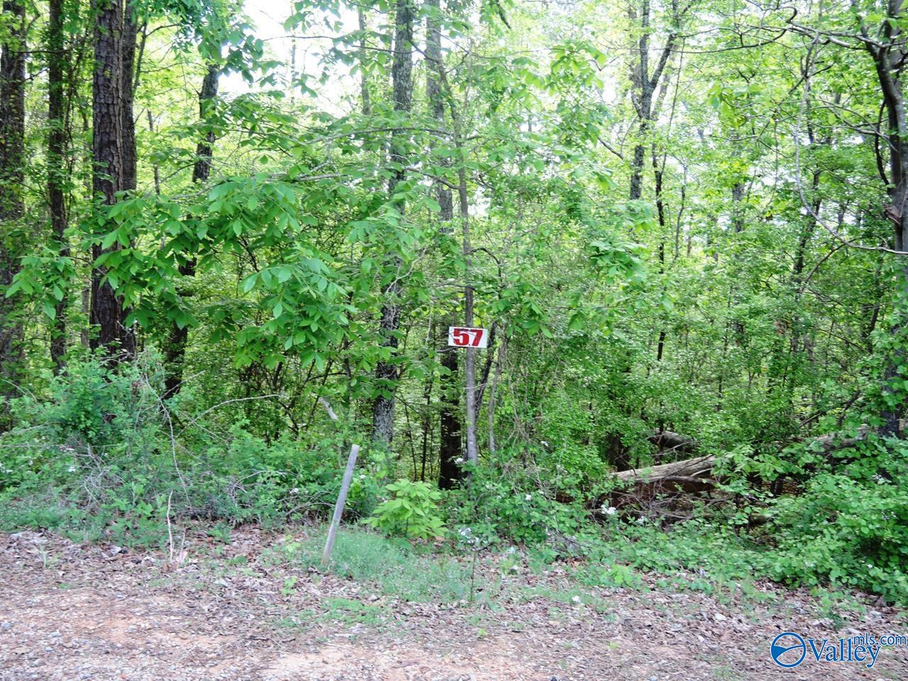 Lot 57 Oak Leaf Court, Jasper, Alabama image 1