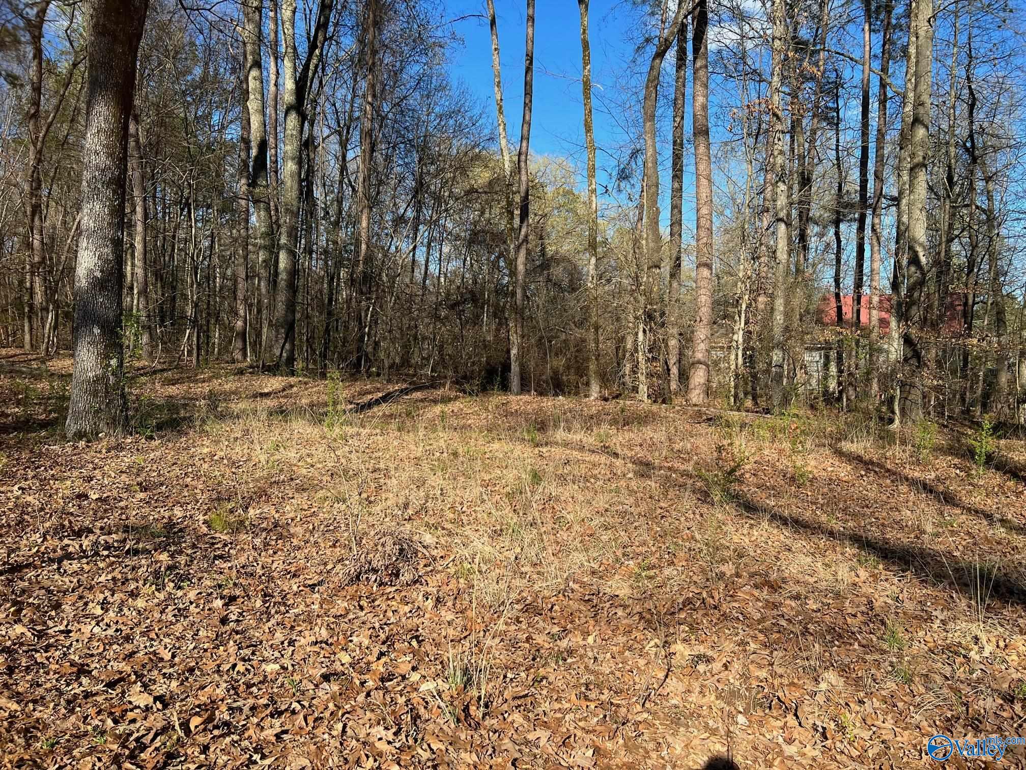 Lot 11 Barnett Road, Rogersville, Alabama image 2