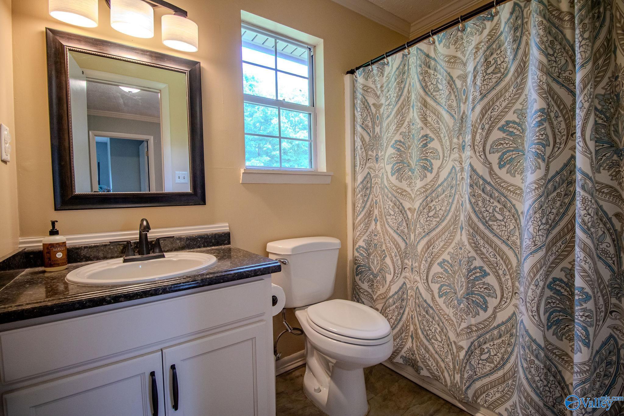 3723 Mary Drive, Oxford, Alabama image 18