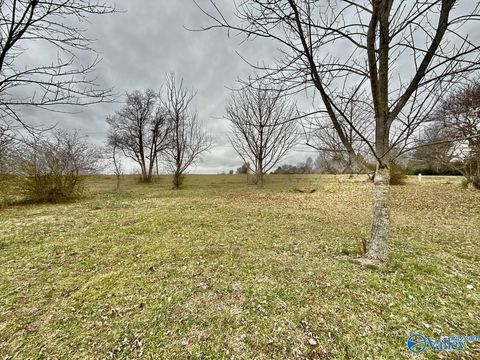 Vacant Land For Sale - LOT 9 East Limestone Road<br/> Toney, AL 35773