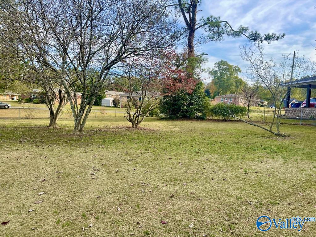 123 Ivanhoe Lane, Rainbow City, Alabama image 4