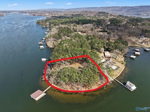 Photo of 3398 Lakeshore Drive, Scottsboro, AL 35769 (MLS # 21912638)