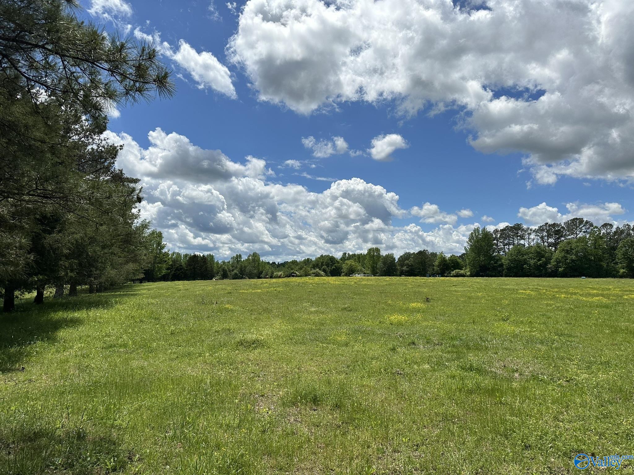 16 Acres Wallace Drive, Hartselle, Alabama image 1