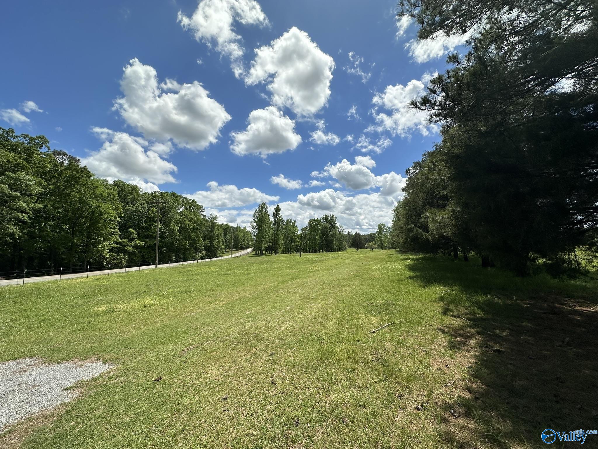 16 Acres Wallace Drive, Hartselle, Alabama image 2