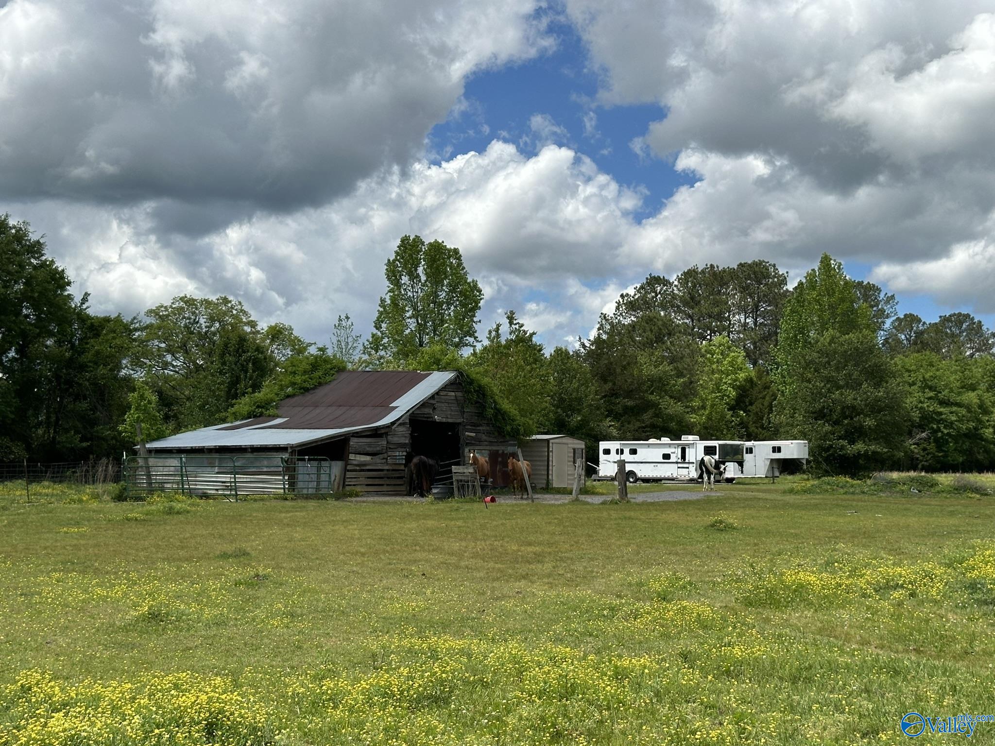 16 Acres Wallace Drive, Hartselle, Alabama image 9