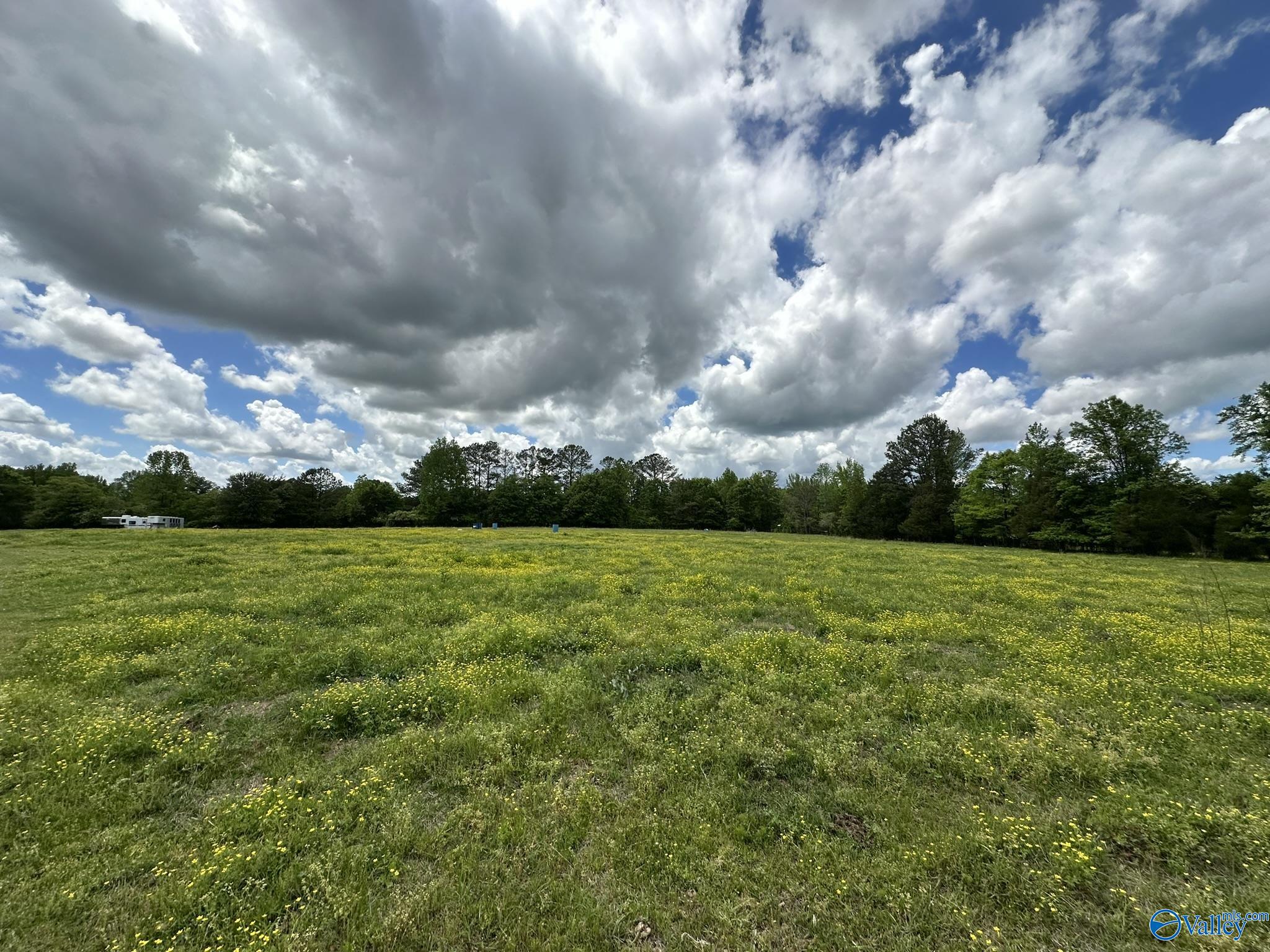 16 Acres Wallace Drive, Hartselle, Alabama image 12