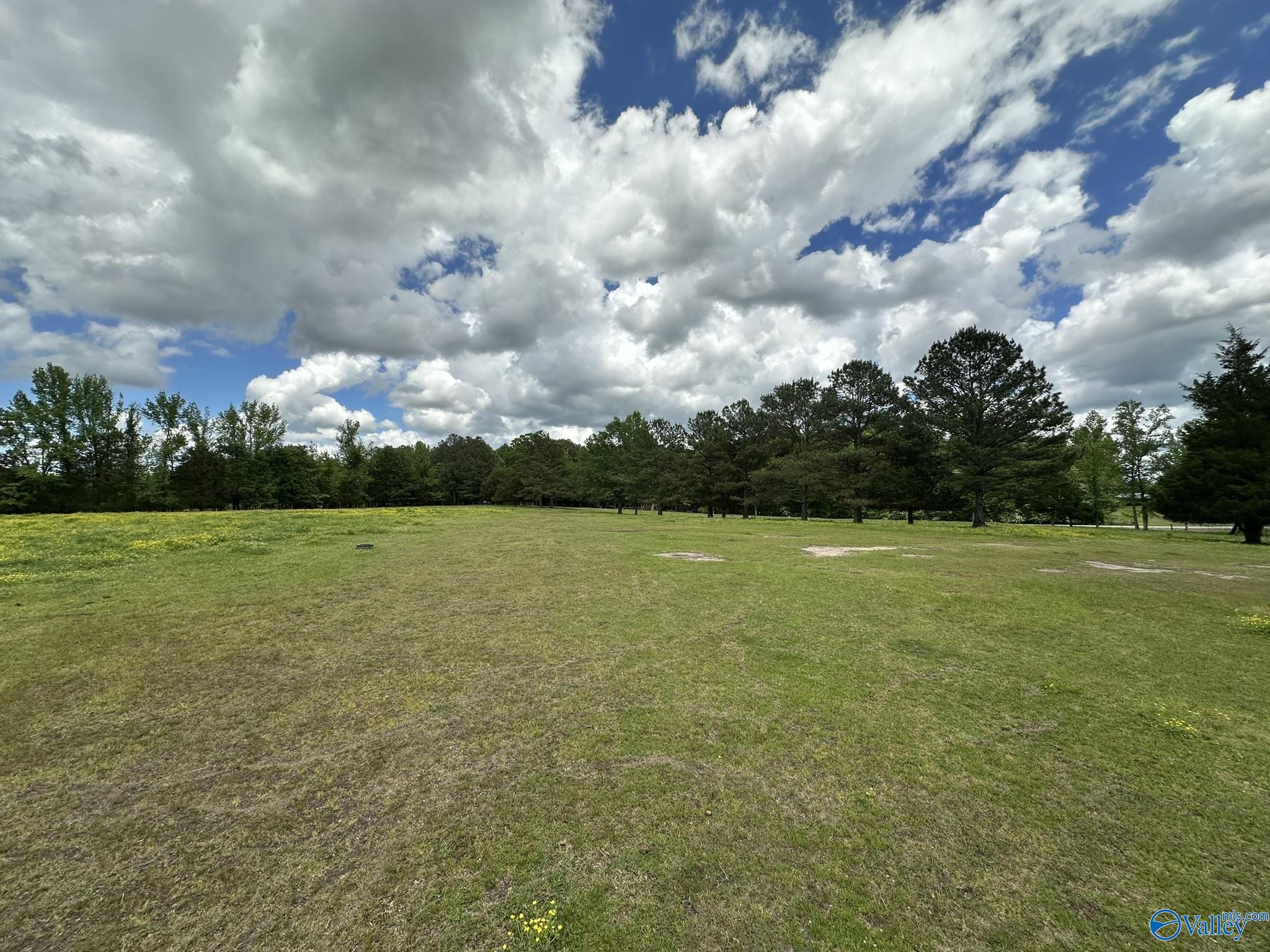 16 Acres Wallace Drive, Hartselle, Alabama image 11