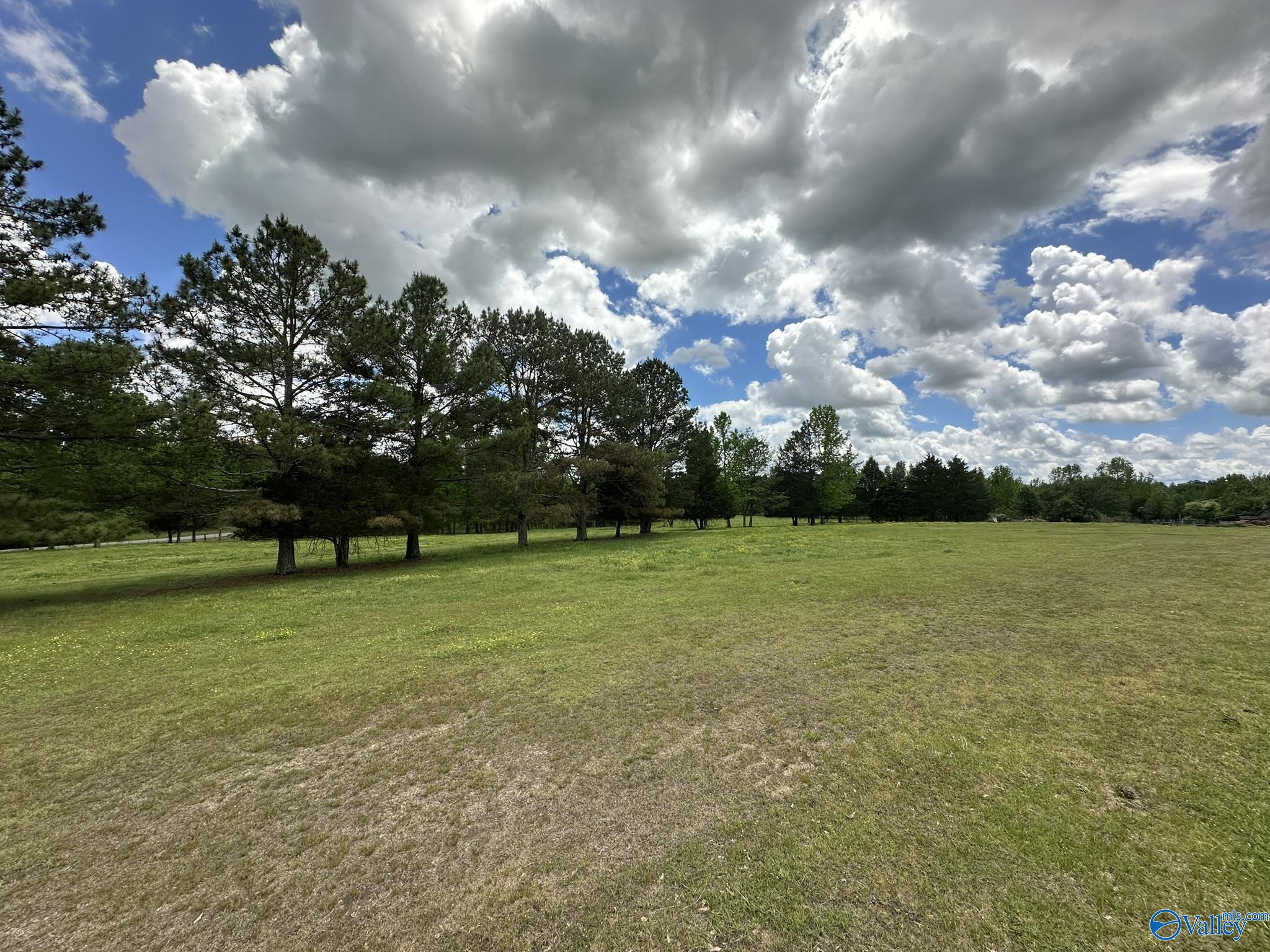 16 Acres Wallace Drive, Hartselle, Alabama image 13