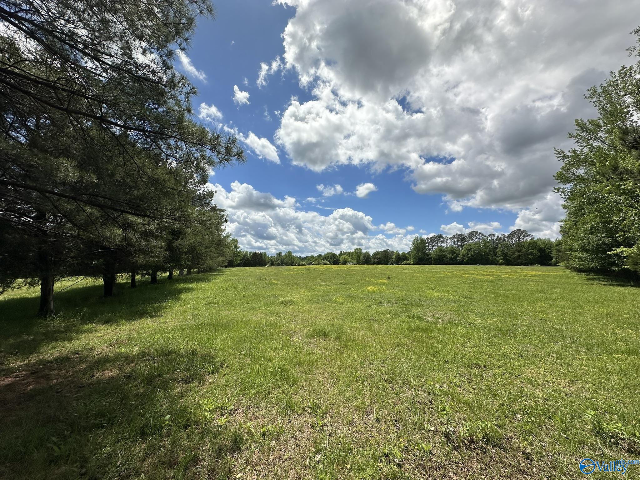 16 Acres Wallace Drive, Hartselle, Alabama image 4