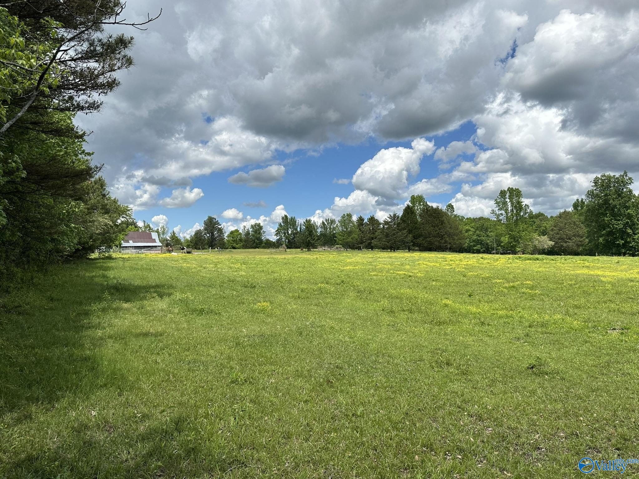 16 Acres Wallace Drive, Hartselle, Alabama image 8