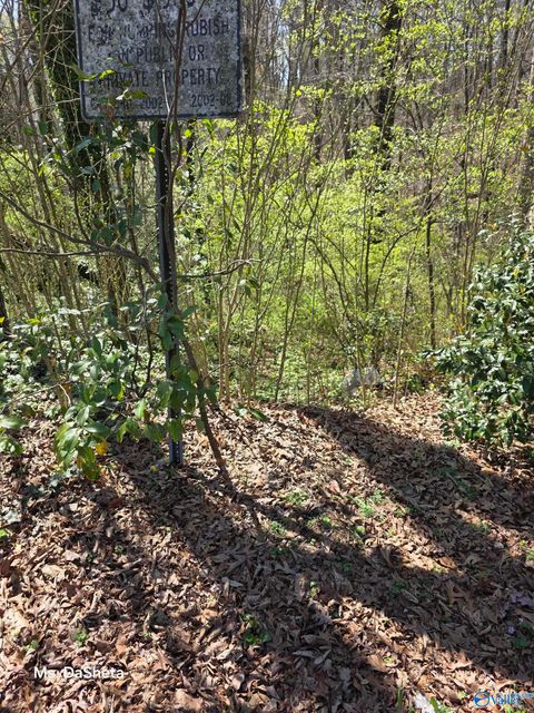 Vacant Land For Sale - 645 16th Terrace Circle<br/> Jefferson County, Center Point, AL 35215
