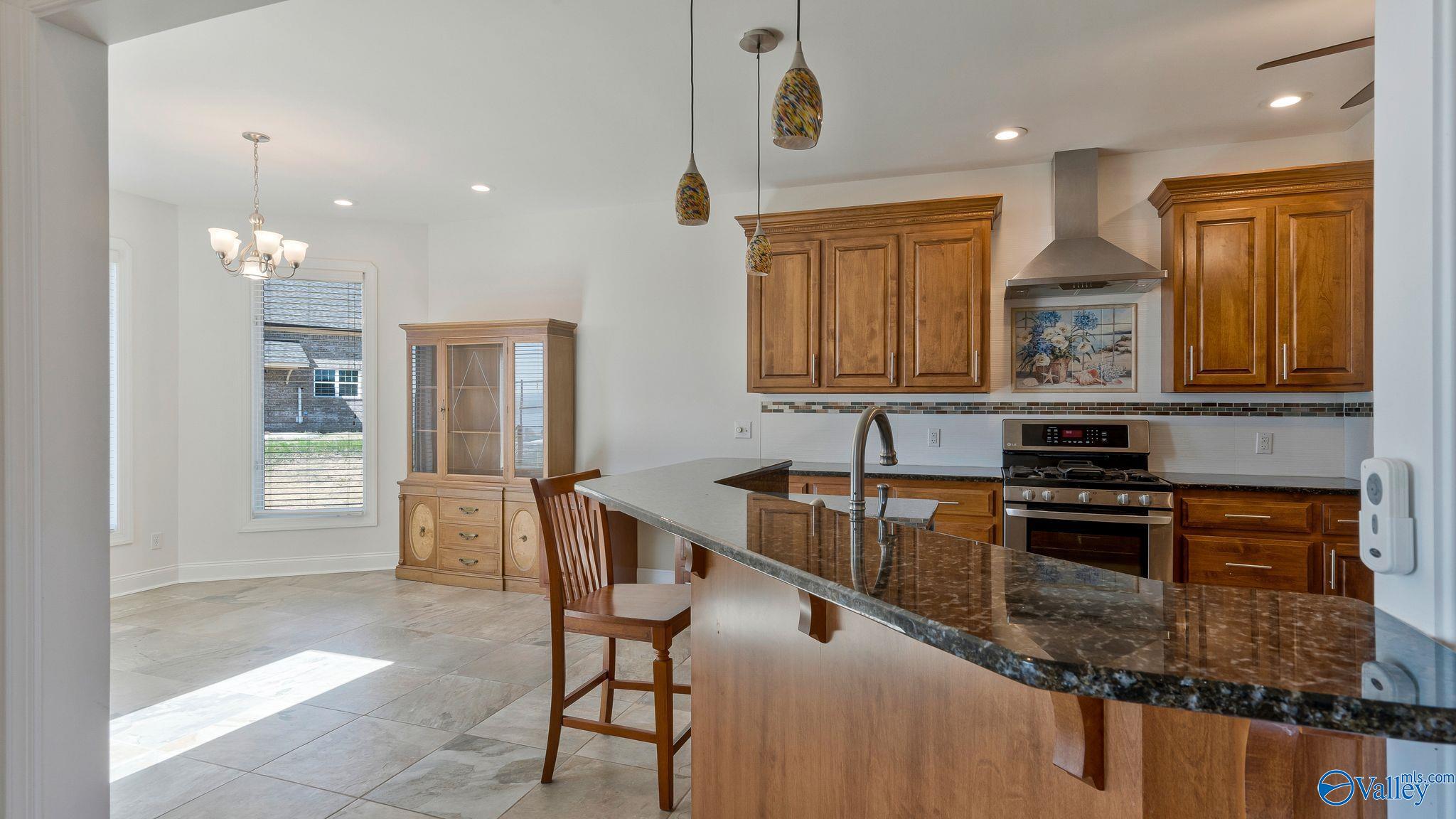 201 Legendary Drive, Guntersville, Alabama image 15