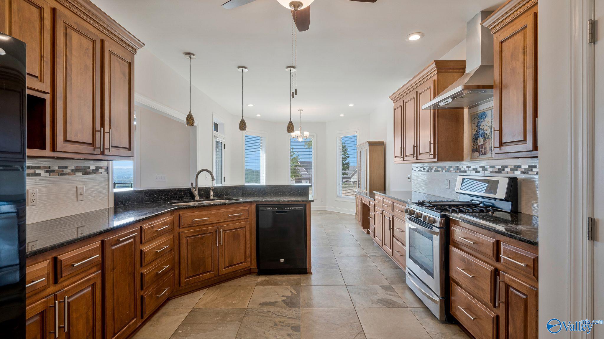 201 Legendary Drive, Guntersville, Alabama image 20