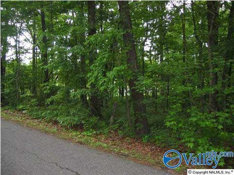 Vacant Land For Sale - 01 8th Avenue<br/> Arab, AL 35016