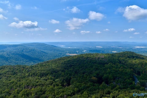 Vacant Land For Sale - 100 ACRES Wade Point Road<br/> Huntsville, AL 35803