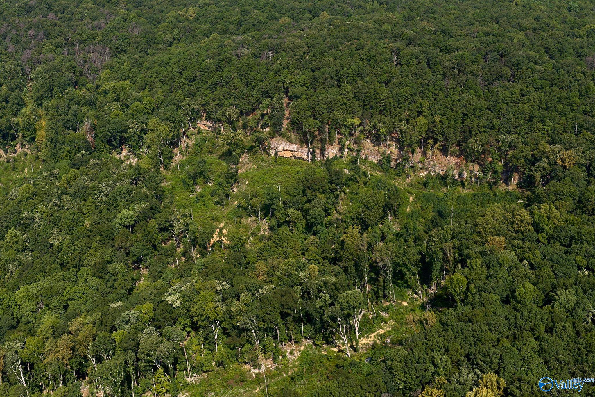 100 acres Wade Point Road