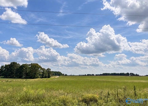 Vacant Land For Sale - 4 Black Road<br/> Athens, AL 35613