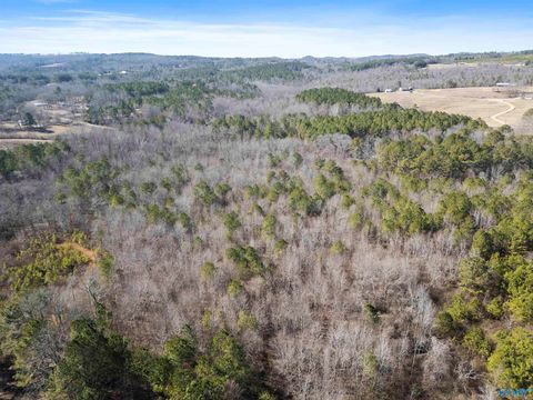 Vacant Land For Sale - 24 ACRES Blanton Road<br/> Etowah County, Gadsden, AL 35904