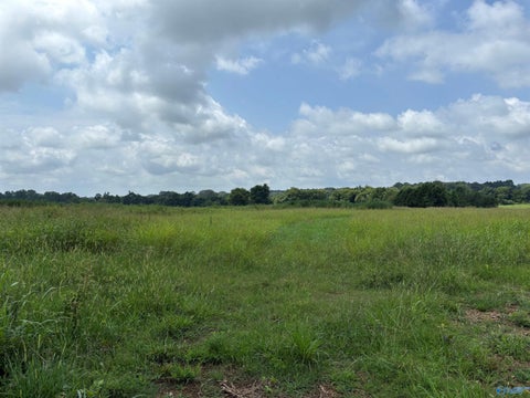 Vacant Land For Sale - 199 ACRES Buddy Williamson Road<br/> New Market, AL 35761
