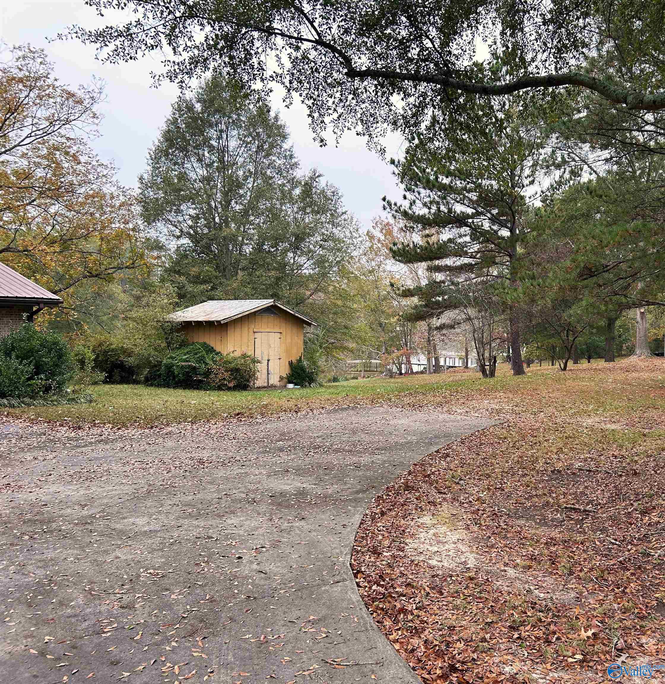 765 County Road 745, Cedar Bluff, Alabama image 12