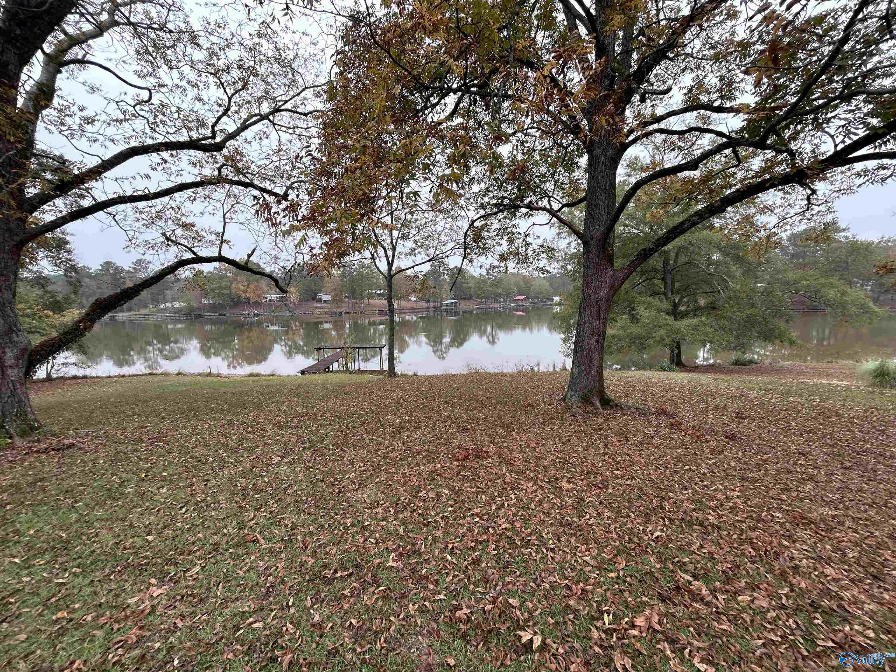 765 County Road 745, Cedar Bluff, Alabama image 9