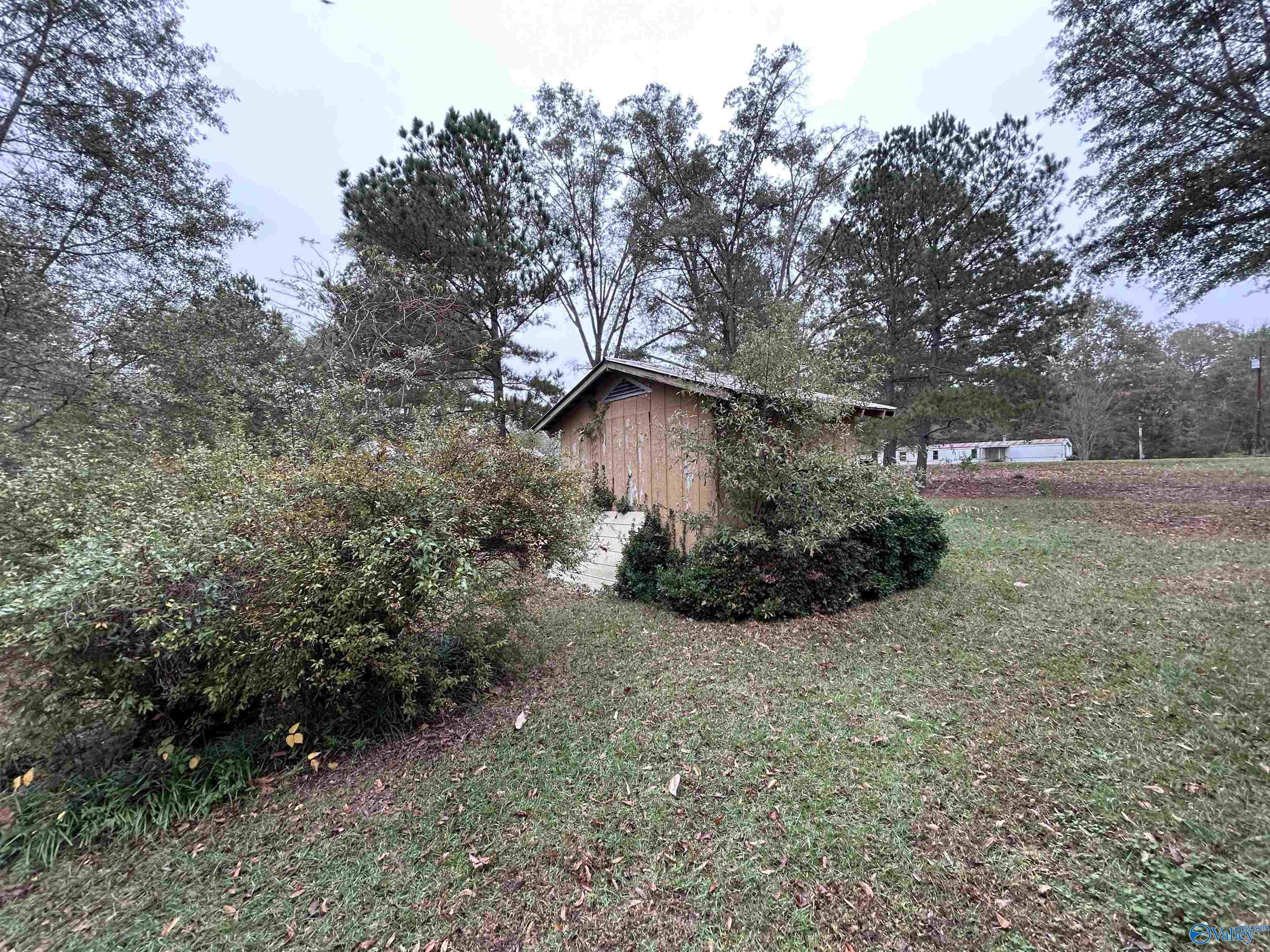 765 County Road 745, Cedar Bluff, Alabama image 11