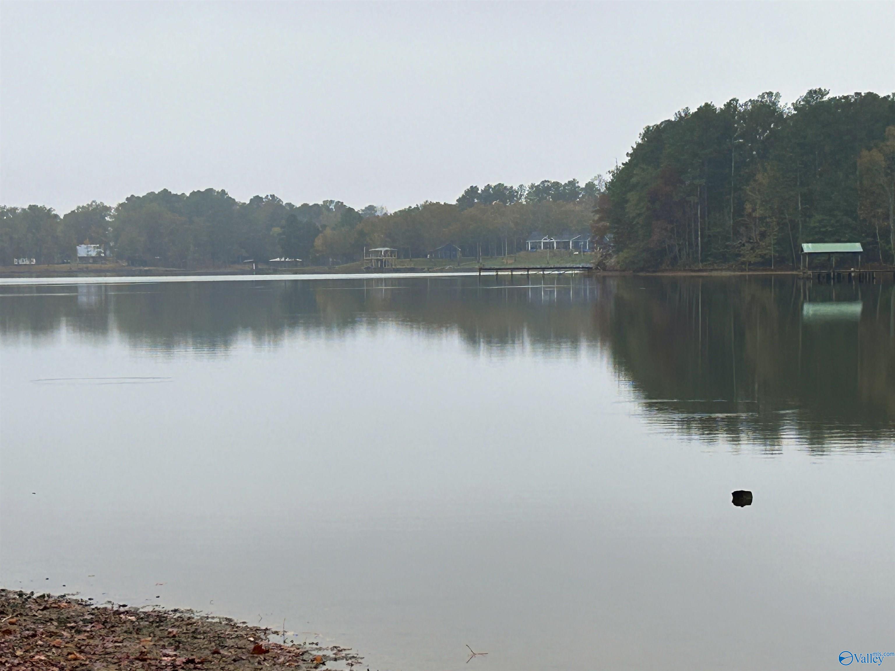 765 County Road 745, Cedar Bluff, Alabama image 6