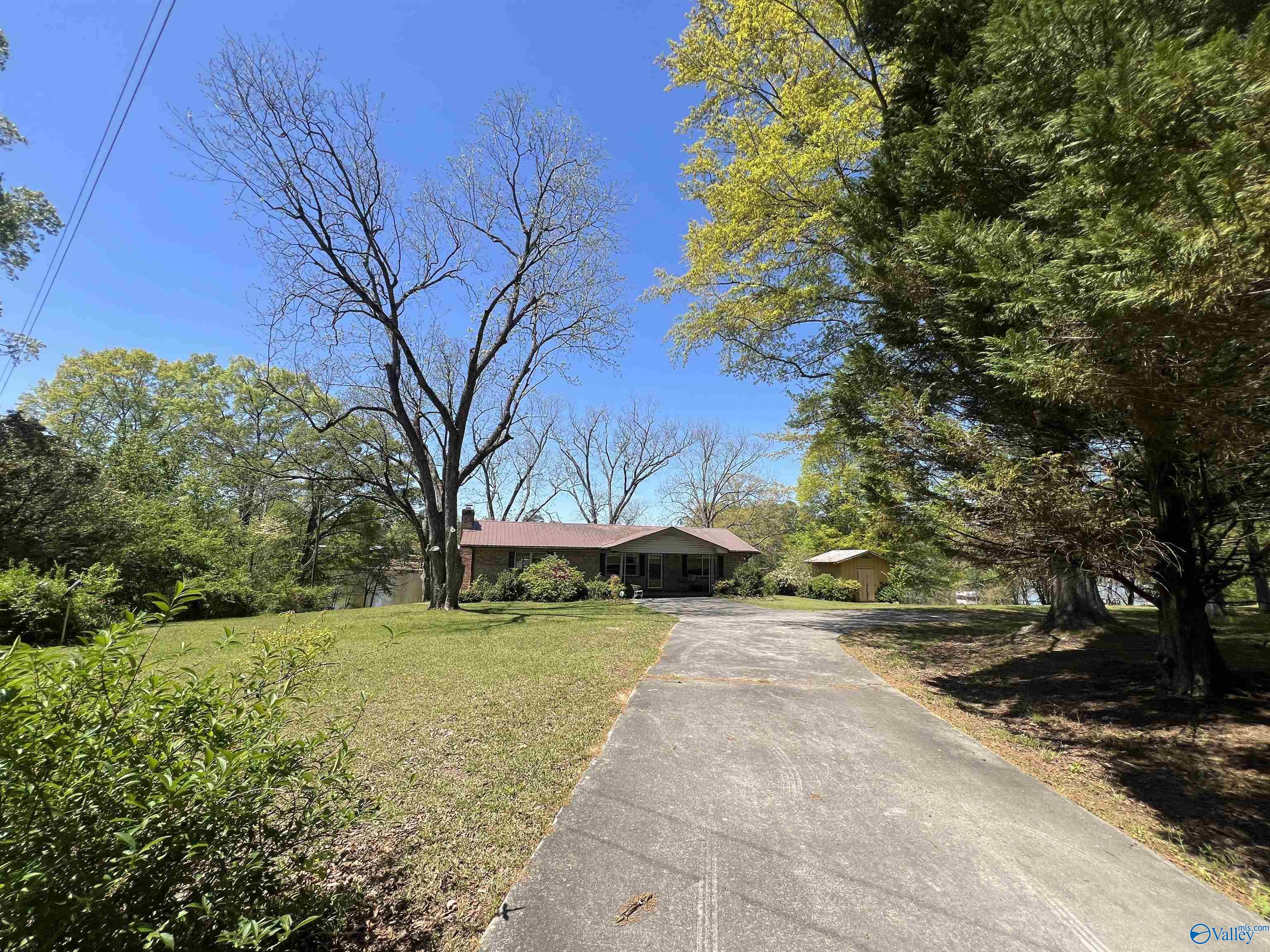 765 County Road 745, Cedar Bluff, Alabama image 5