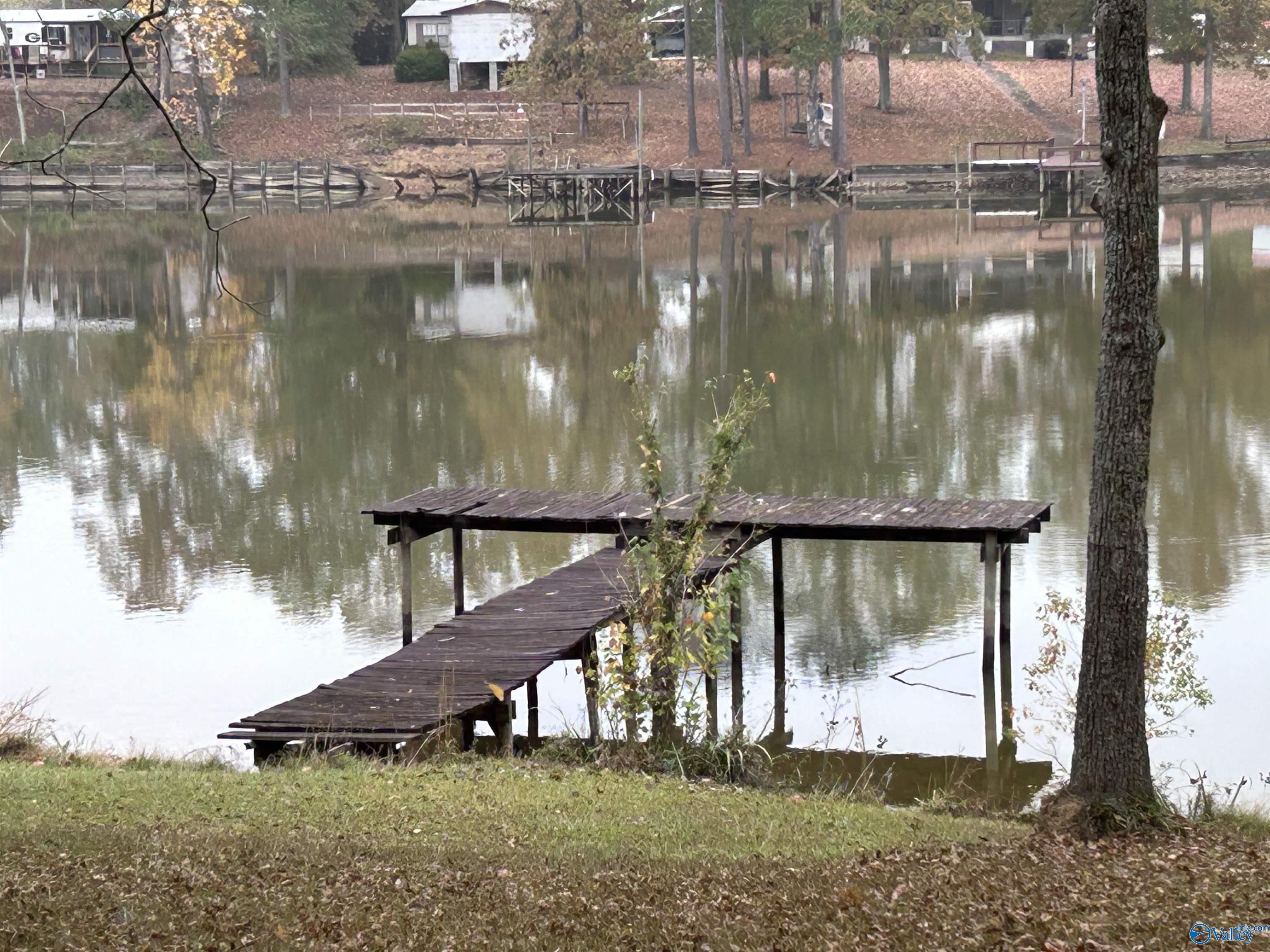 765 County Road 745, Cedar Bluff, Alabama image 7
