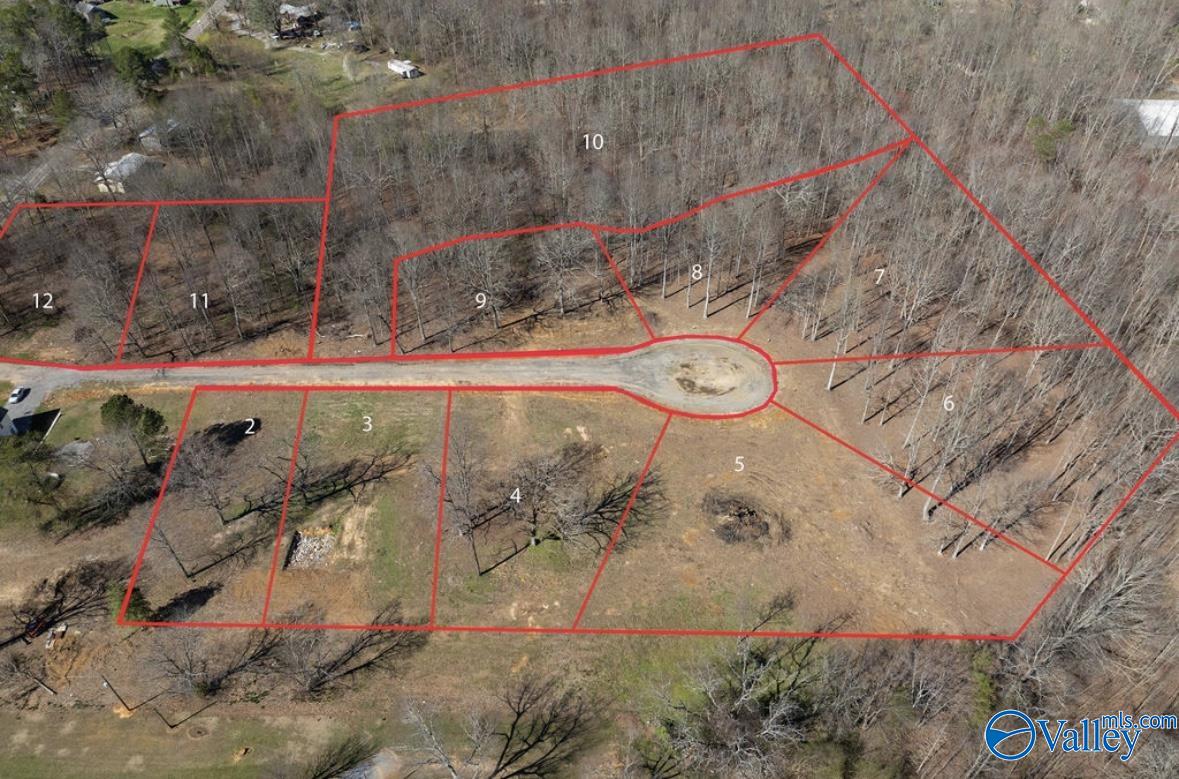 Lot 2 County Road 825, Scottsboro, Alabama image 2