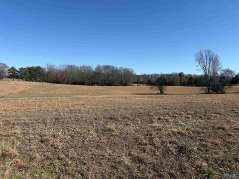Vacant Land For Sale - 20A Bob J Road<br/> Lester, AL 35647
