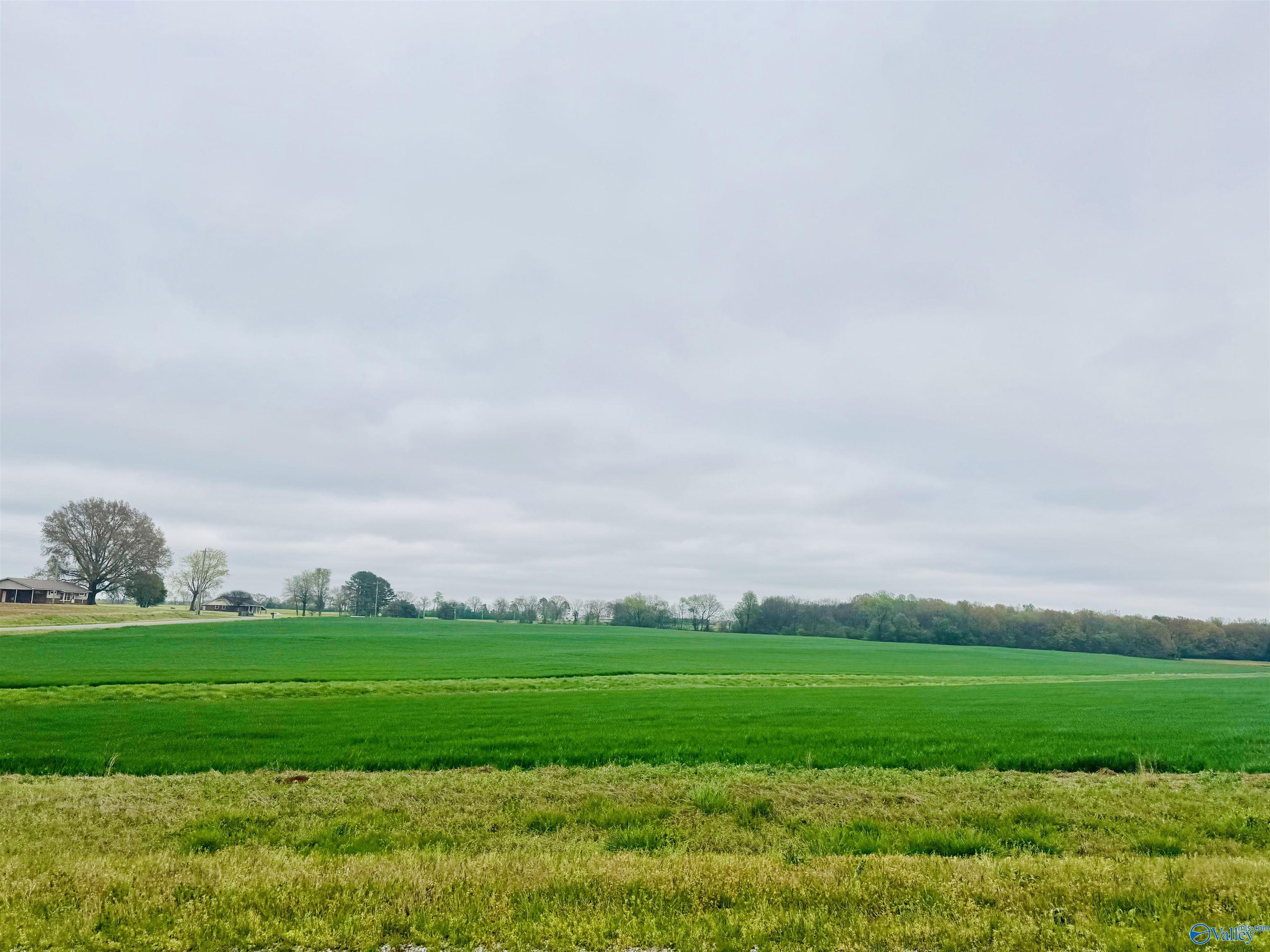 116 Acres Shaw Road, Athens, Alabama image 1