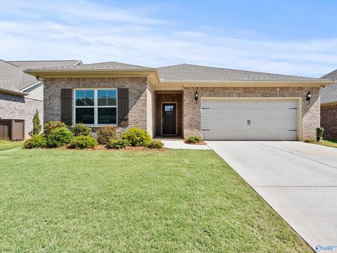 Homes For Sale - 315 Valion Street<br/> Madison County, Meridianville, AL 35759