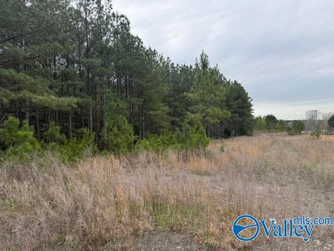 Vacant Land For Sale - 90 County Road 153<br/> Fort Payne, AL 35967