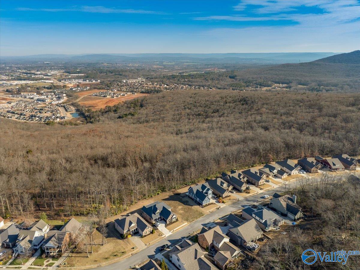 3974 Hawks Way, Huntsville, Alabama image 16